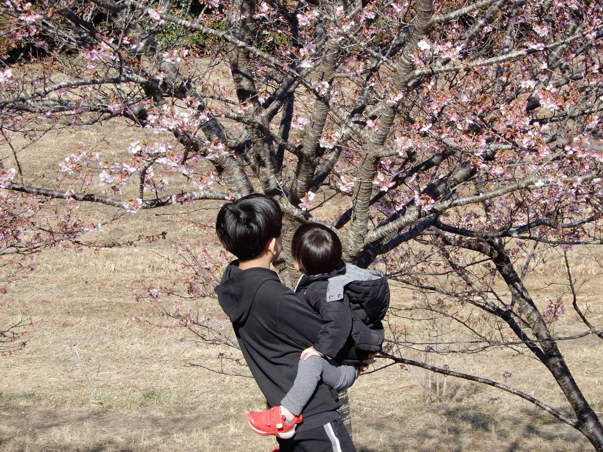 株式会社resona教育研究所